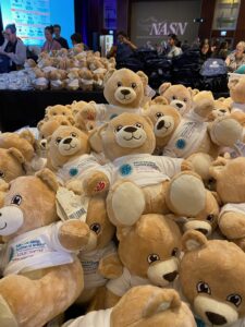 Asthma and Allergy teddy bears for diagnosis kits